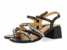 Load image into Gallery viewer, Gioseppo Balao