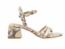 Load image into Gallery viewer, Gioseppo Kutalli