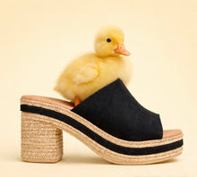 Load image into Gallery viewer, Marila Liora shoes
