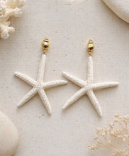 Load image into Gallery viewer, Pfs sea star earings
