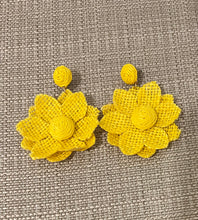Load image into Gallery viewer, M Rafia earings
